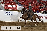 10buck_3214 proof