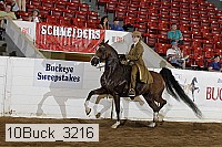 10buck_3216 proof
