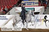 10buck_3217 proof