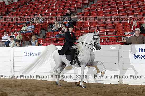 Proof 10buck_3218