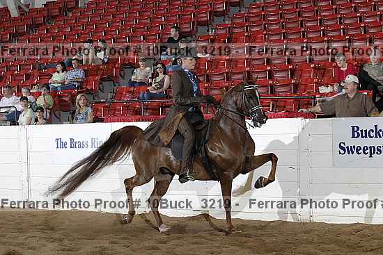 Proof 10buck_3219