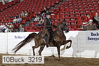 10buck_3219 proof