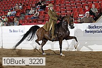 10buck_3220 proof