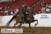 10buck_3222 proof