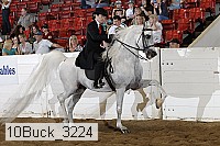 10buck_3224 proof