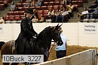 10buck_3227 proof