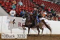 10buck_3232 proof