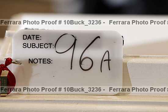 Proof 10buck_3236