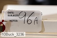 10buck_3236 proof