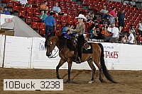 10buck_3238 proof