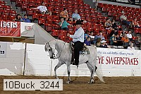 10buck_3244 proof
