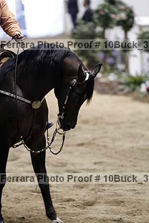 Proof 10buck_3245
