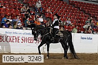 10buck_3248 proof