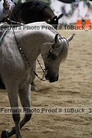 Proof 10buck_3263