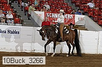 10buck_3266 proof
