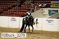 10buck_3278 proof