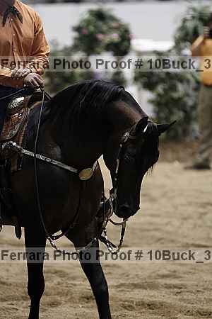 Proof 10buck_3282