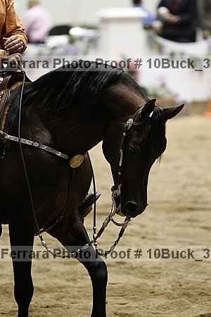 Proof 10buck_3283