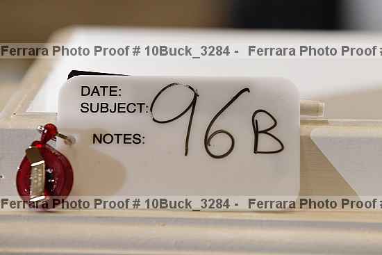 Proof 10buck_3284