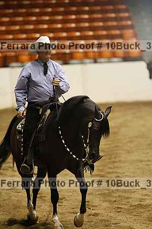 Proof 10buck_3291