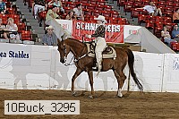 10buck_3295 proof