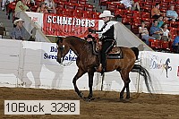 10buck_3298 proof