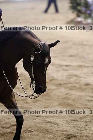 Proof 10buck_3300