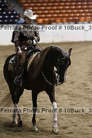 Proof 10buck_3301