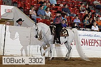 10buck_3302 proof