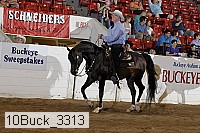 10buck_3313 proof
