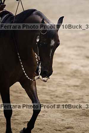 Proof 10buck_3319