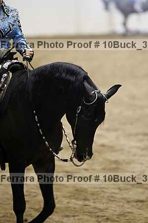 Proof 10buck_3321