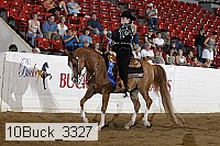 10buck_3327 proof