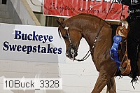 10buck_3328 proof