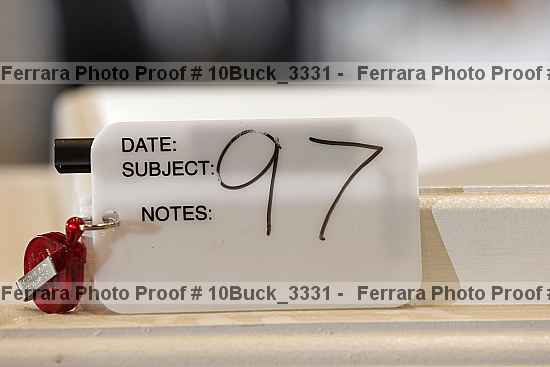 Proof 10buck_3331