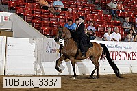 10buck_3337 proof
