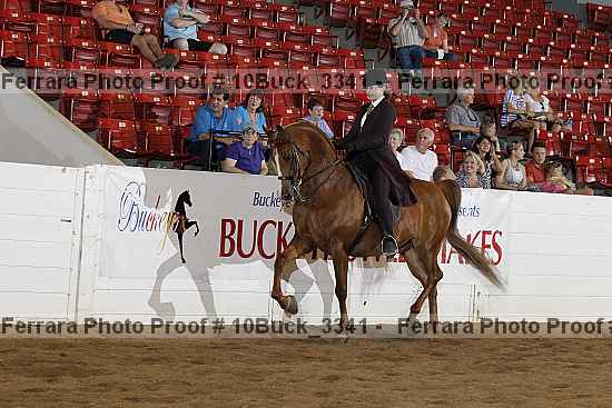 Proof 10buck_3341