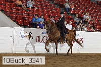 10buck_3341 proof