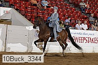 10buck_3344 proof