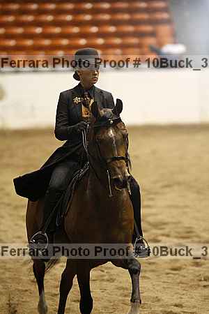 Proof 10buck_3346