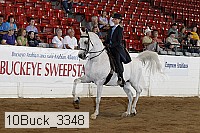 10buck_3348 proof