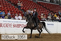 10buck_3351 proof
