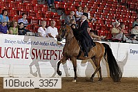10buck_3357 proof