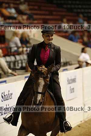 Proof 10buck_3370