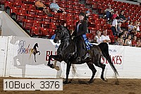 10buck_3376 proof