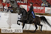 10buck_3377 proof