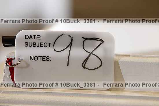 Proof 10buck_3381