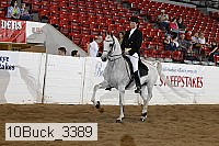 10buck_3389 proof