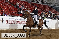 10buck_3393 proof