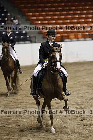 Proof 10buck_3394